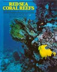 Image of RED SEA CORAL REEFS